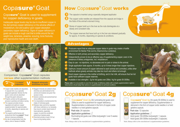 Animax Copasure Bolus for Goats 4gm : 12 ct