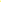 Allflex Global Blank Super Maxi Yellow : 25ct